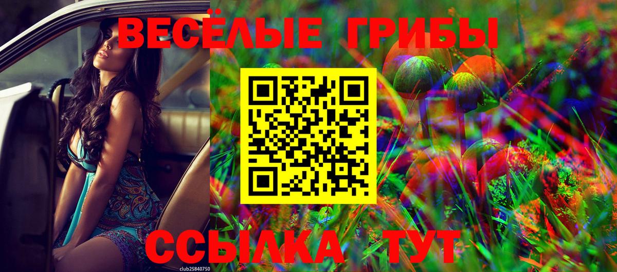 Новоалтайск  Псилоцибиновые грибы мицелий  Вход с VPN 