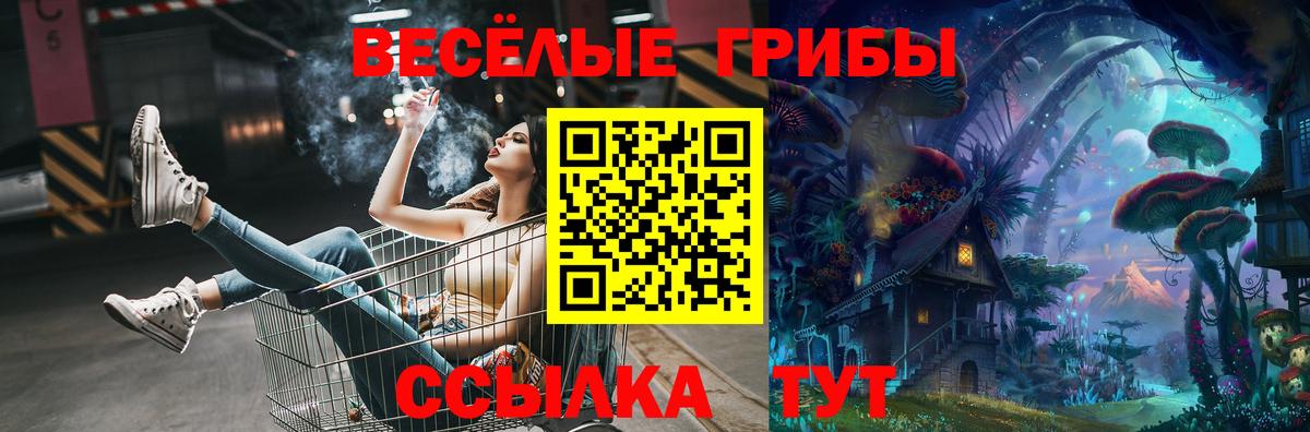 Псилоцибиновые грибы Cubensis Новоалтайск